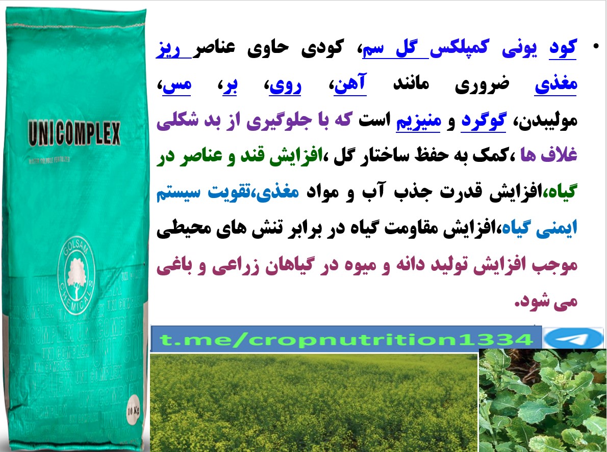 مصرف کود یونی کمپلکس گل سم برای افزایش توان بوته های کلزا – قسمت چهارم