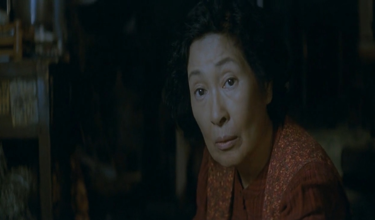 فیلم مادر2009