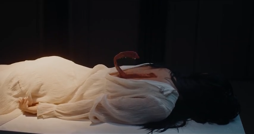 screenshot_the.seven.relics.of.ill.omen.e06.480p.web-dl.softsub.flixdrama_1753210942814_i7dt.png