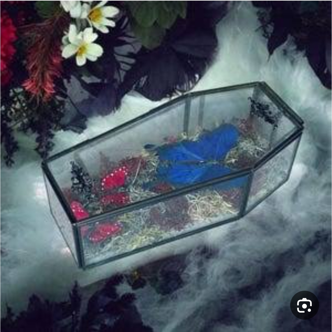 تصویر تغییر اندازه داده شده