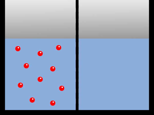 semipermeabel_5g8j.gif