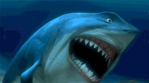 shark-laughing-shark-gifs_5wbr.gif