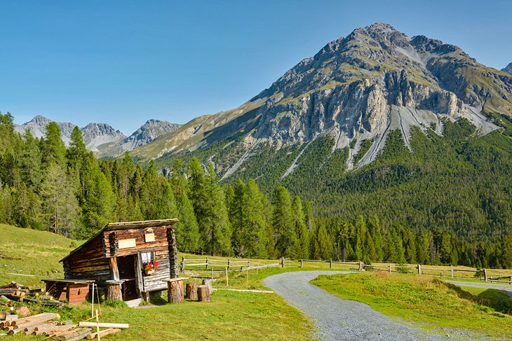 پارک ملی سوئیس