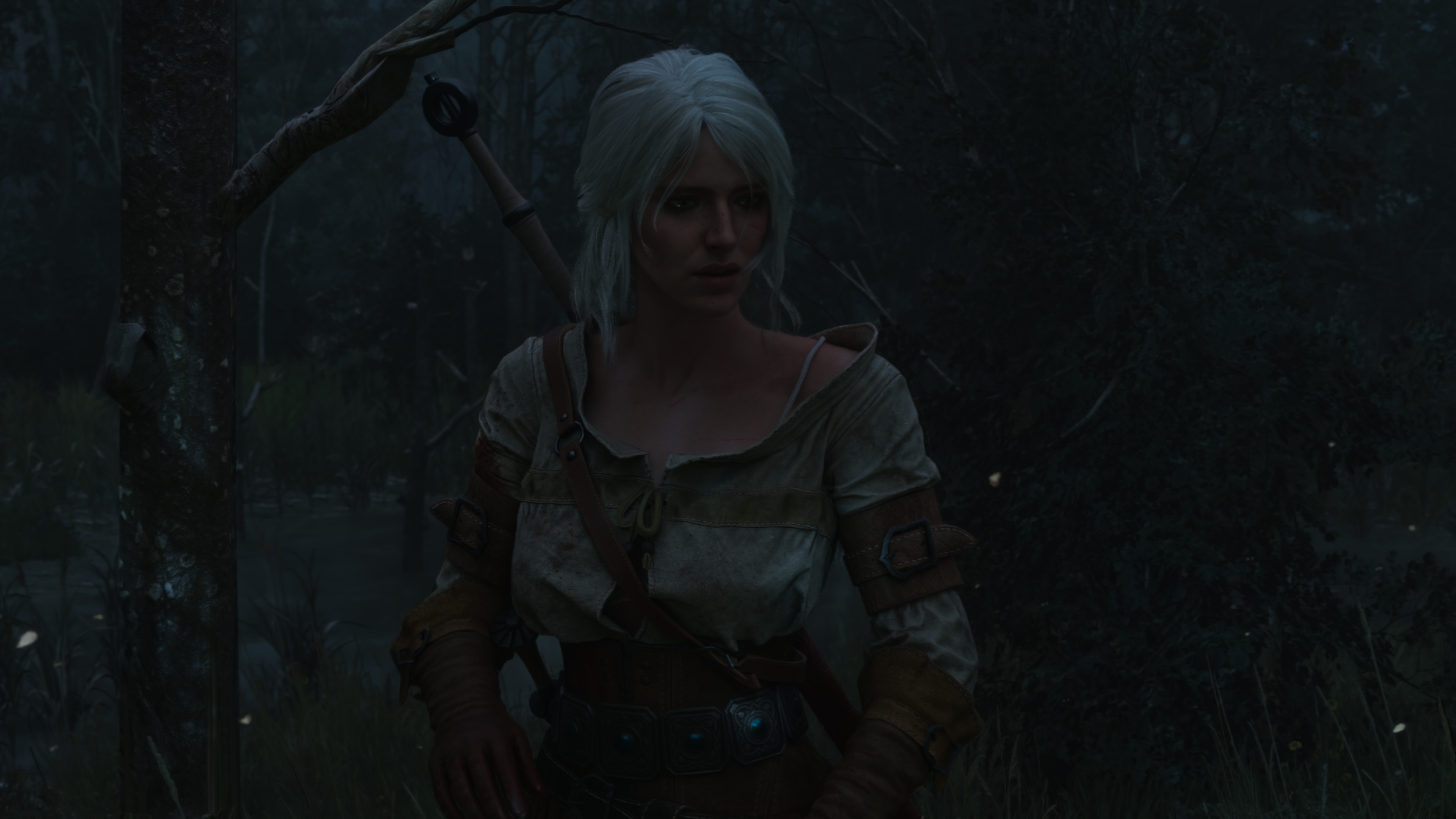 the-witcher-3-screenshot-2026-10-15-21-50-19-49_bamf.png