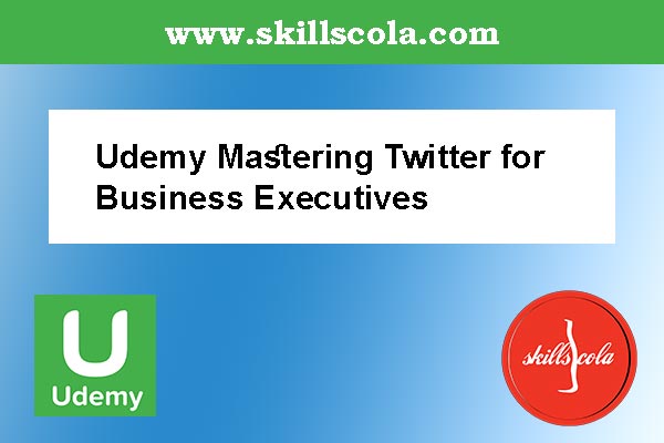 Udemy Mastering Twitter for Business Executives