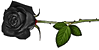 [تصویر: untitledwew_nqi.png]