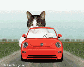 user735530_513ed950b481_mg9v.gif