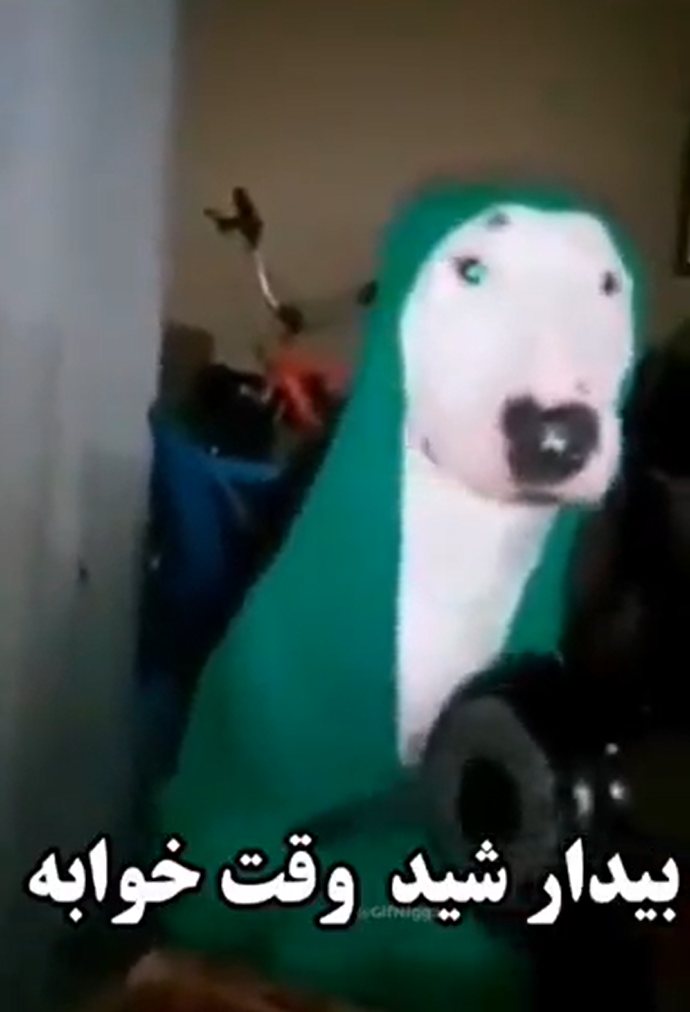 heh bro