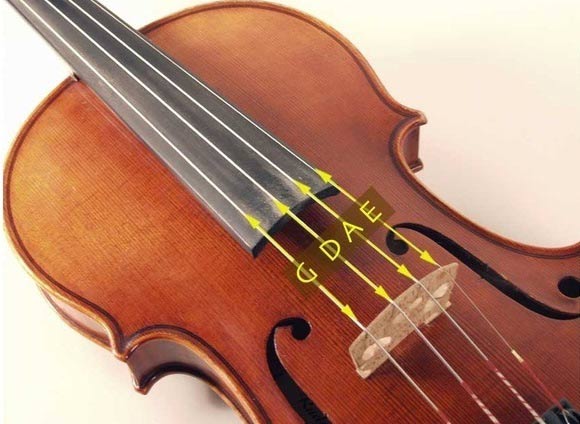violin-3_e9sc.jpg