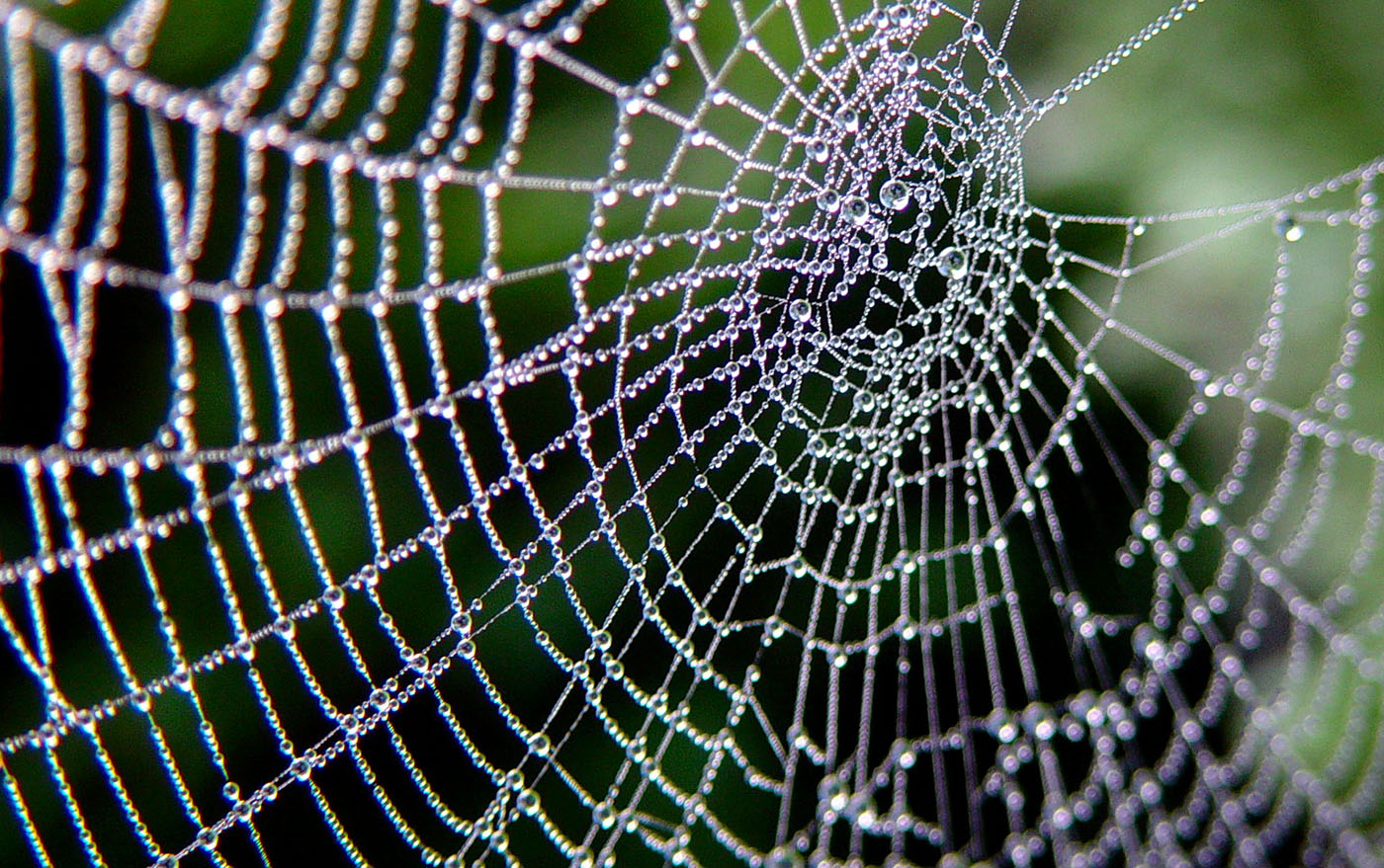web
