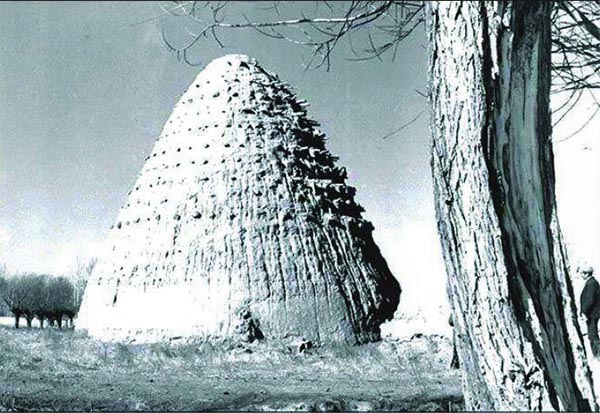 معماری یخدان تاریخی چهاربرج