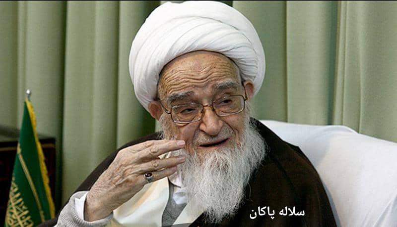 ارتحال آیت الله العظمی صافی، صافی گلپایگانی، سلاله پاکان