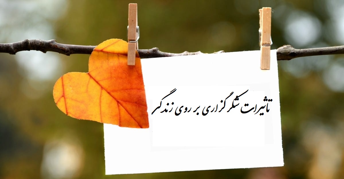 شکرگزاری در قانون جذب(شاه کلید رسیدن به تمام آرزوها)