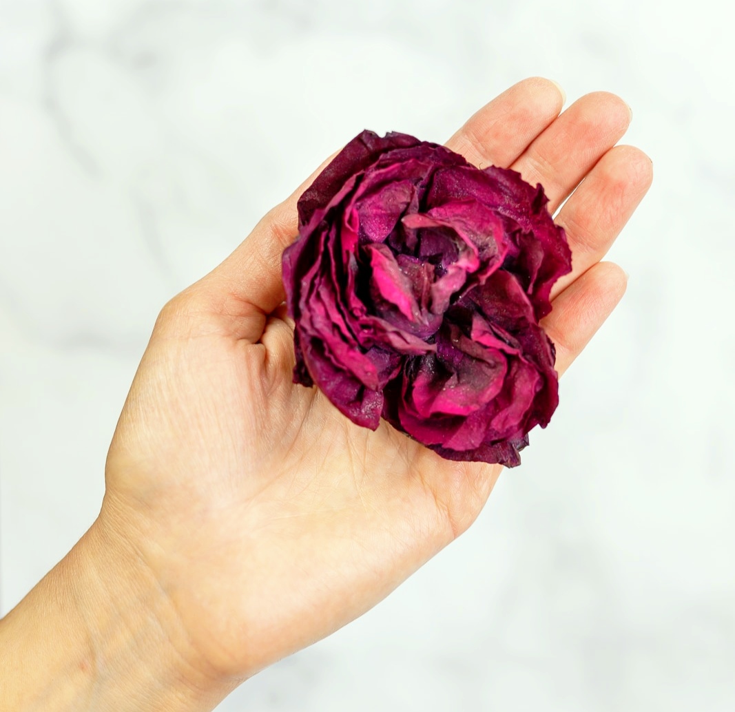 ، dried flower in silicagelگل خشک شده در سیلیکاژل گل باکند سیلیکاژل