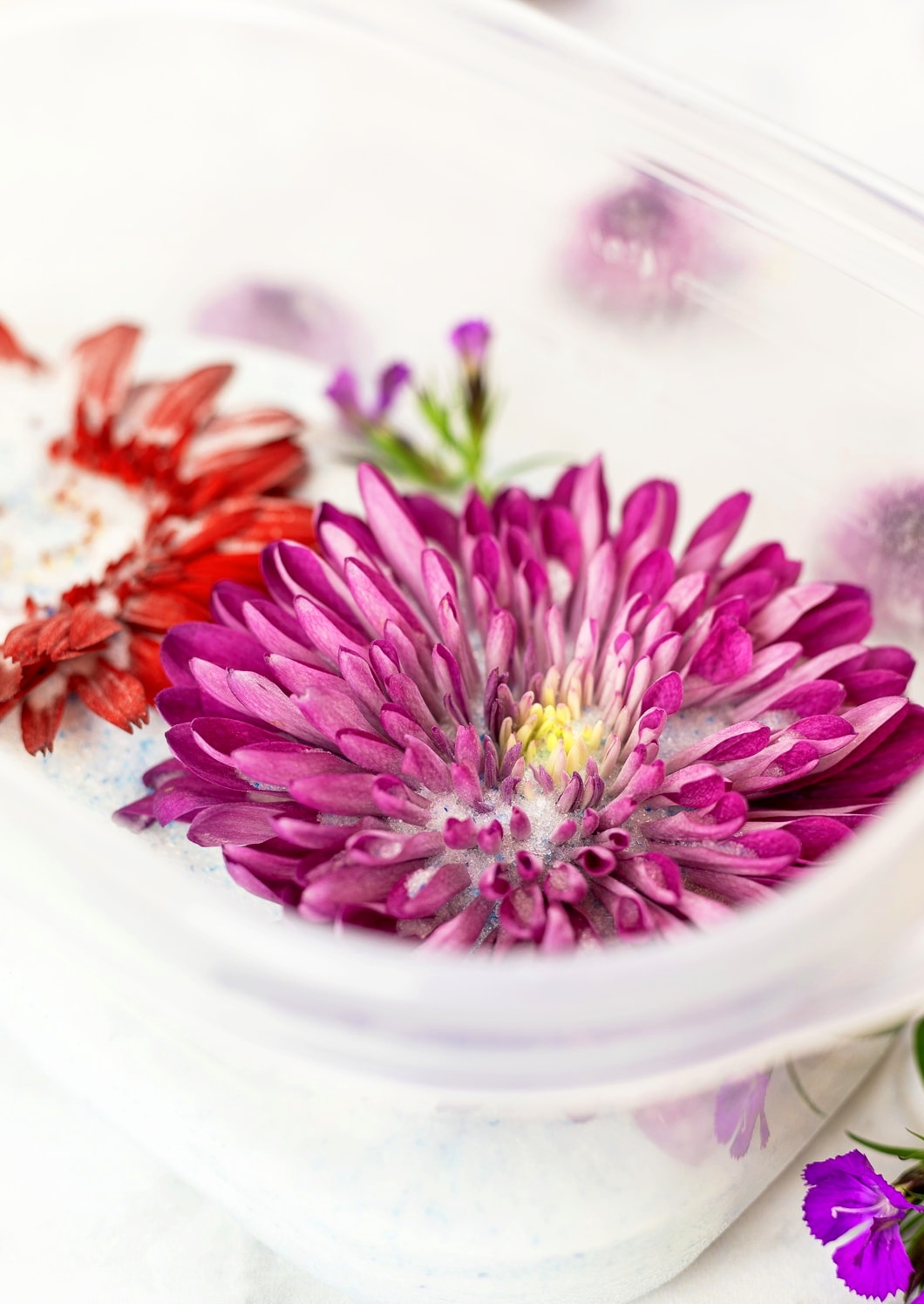 ,خشک کردن گل با سیلیکاژل باکند