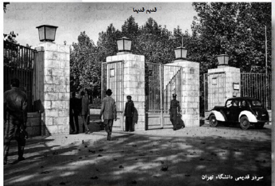 دانشگاه تهران