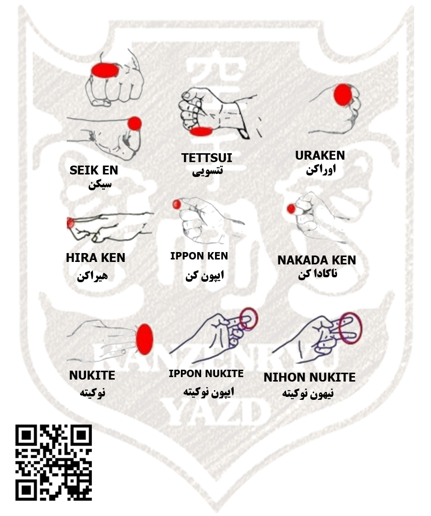 محمد جواد نبی زاده کان ذن ریو یزد