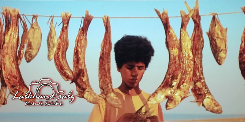صید؛ انتظار در افق جنوب 