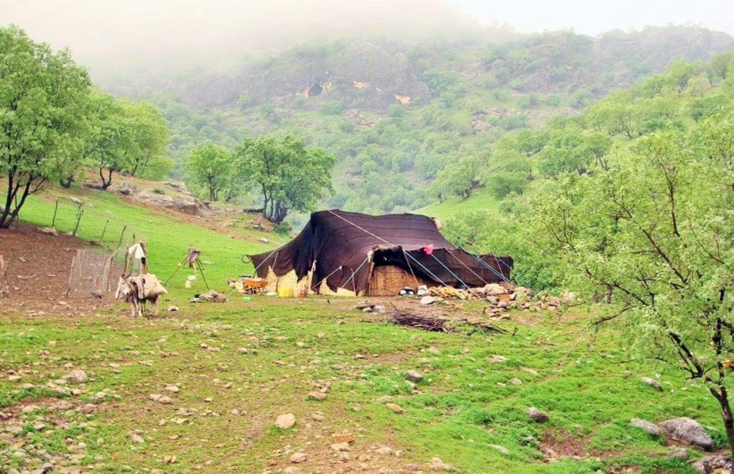 عنوان عکس عنوان عکس