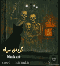 گربه‌ ی سیاه-شب بی بازگشت- منابع انسانی و سلامت روان
