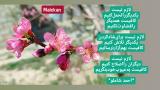 1000122976_rqba.jpg