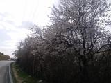 20220318_140932_6m34.jpg